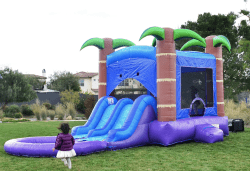 BOUNCE HOUSE WITH DOUBLE LANE SLIDE TIKI BOB Screen20Shot202025 07 1420at207.20.5320PM 1752537112 BOUNCE HOUSE WITH DOUBLE LANE SLIDE "TIKI BOB"