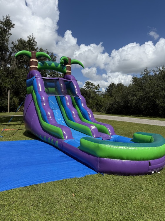 16ft INFLATABLE WATER SLIDE PARADISE PLUNGE 16ft INFLATABLE WATER SLIDE PARADISE PLUNGE