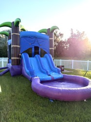 IMG 7855 1767976980 BOUNCE HOUSE WITH DOUBLE LANE SLIDE "TIKI BOB"
