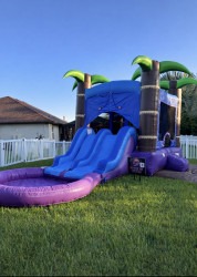 BOUNCE HOUSE WITH (WATER or DRY) DOUBLE LANE SLIDE TIKI BOB