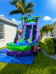 16ft INFLATABLE WATER SLIDE PARADISE PLUNGE